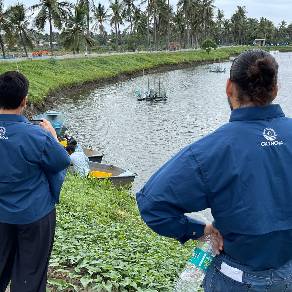 aquaculture bioremediation